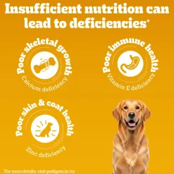 Pedigree Meat & Rice Dry Food For Adult Dog