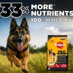Pedigree PRO Adult Large Breed (18 Months Onwards) Adult Dry Dog Food - (Expert Nutrition)