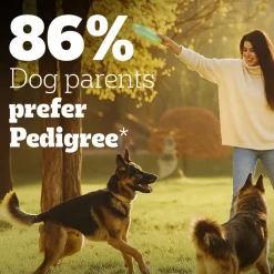 Pedigree PRO Adult Large Breed (18 Months Onwards) Adult Dry Dog Food - (Expert Nutrition)