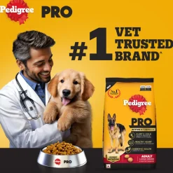 Pedigree PRO Adult Large Breed (18 Months Onwards) Adult Dry Dog Food - (Expert Nutrition)