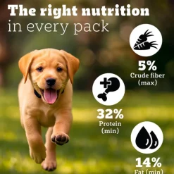 Pedigree PRO Expert Nutrition Puppy Large Breed Dry Dog Food (3-18 Months)