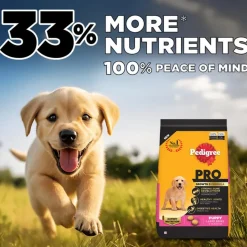 Pedigree PRO Expert Nutrition Puppy Large Breed Dry Dog Food (3-18 Months)
