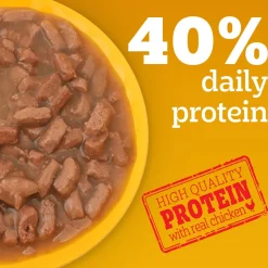 Pedigree Roasted Lamb Flavour Chunks In Gravy Adult Dog Wet Food - 130 g