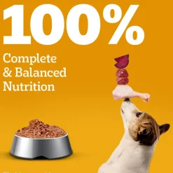 Pedigree Roasted Lamb Flavour Chunks In Gravy Adult Dog Wet Food - 70 gm