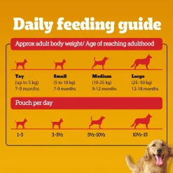 Pedigree Roasted Lamb Flavour Chunks In Gravy Adult Dog Wet Food - 70 gm
