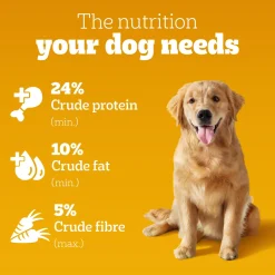 Pedigree 100% Vegetarian Dry Food For Adult Dog & Puppy