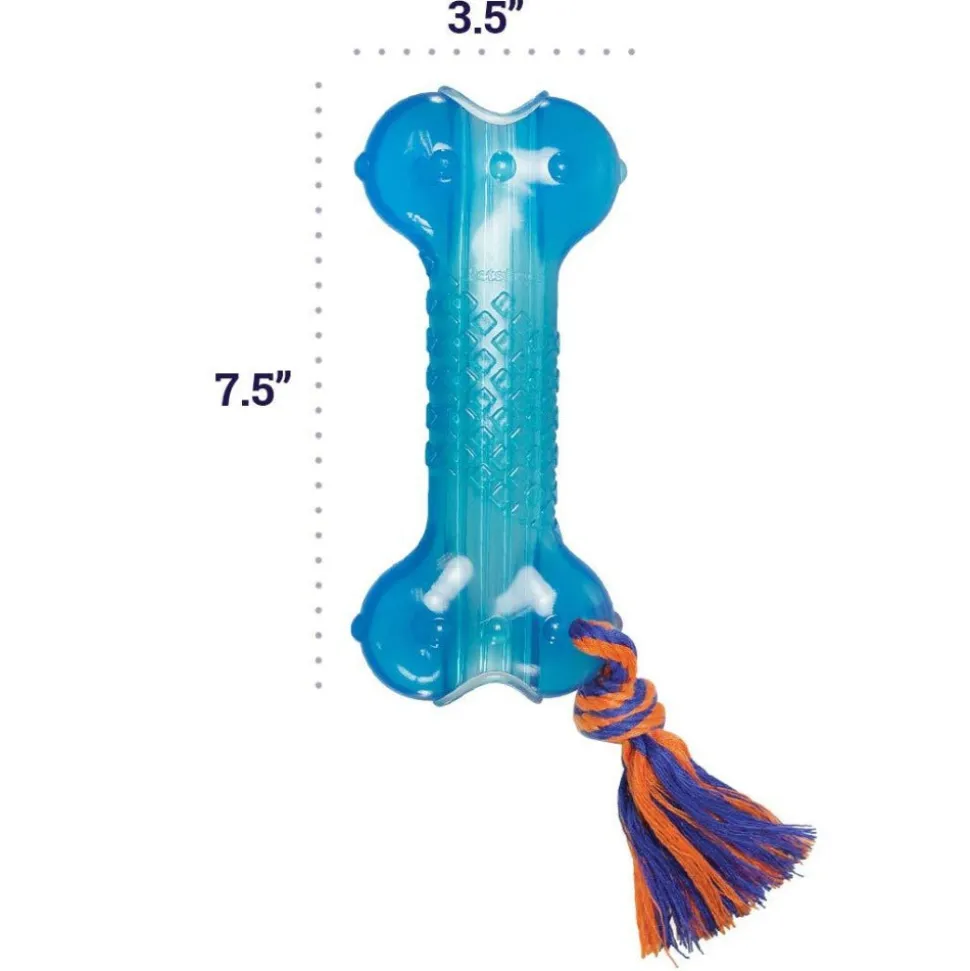 Petstages Orka Bone Dog Chew Toy