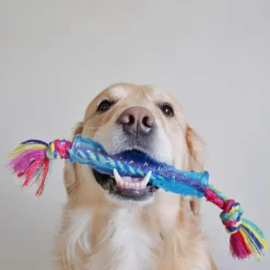 Petstages Orka Stick Chew Dog Chew Toy