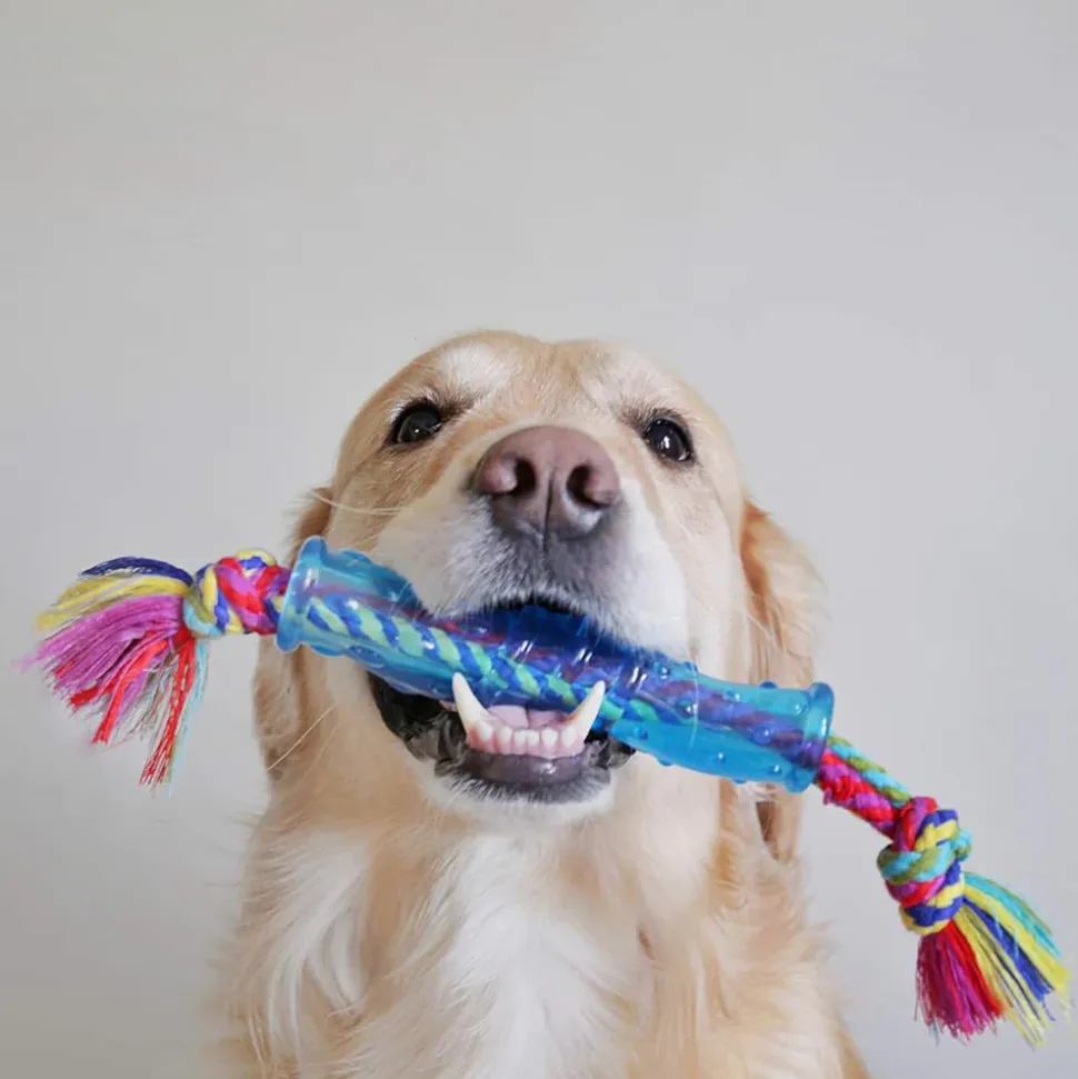 Petstages Orka Stick Chew Dog Chew Toy