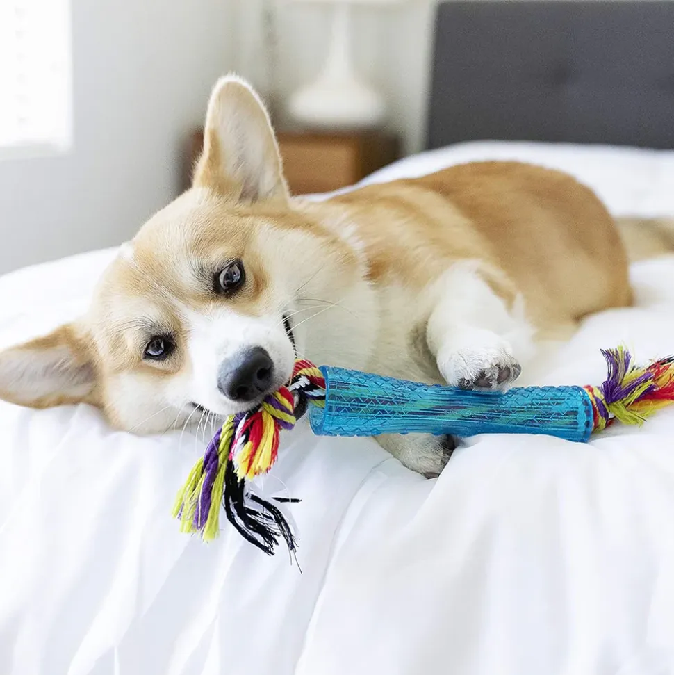 Petstages Orka Stick Chew Dog Chew Toy