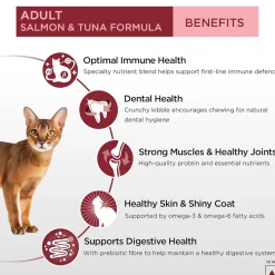 Purina Pro Plan Salmon & Tuna Adult Dry Food For Cat