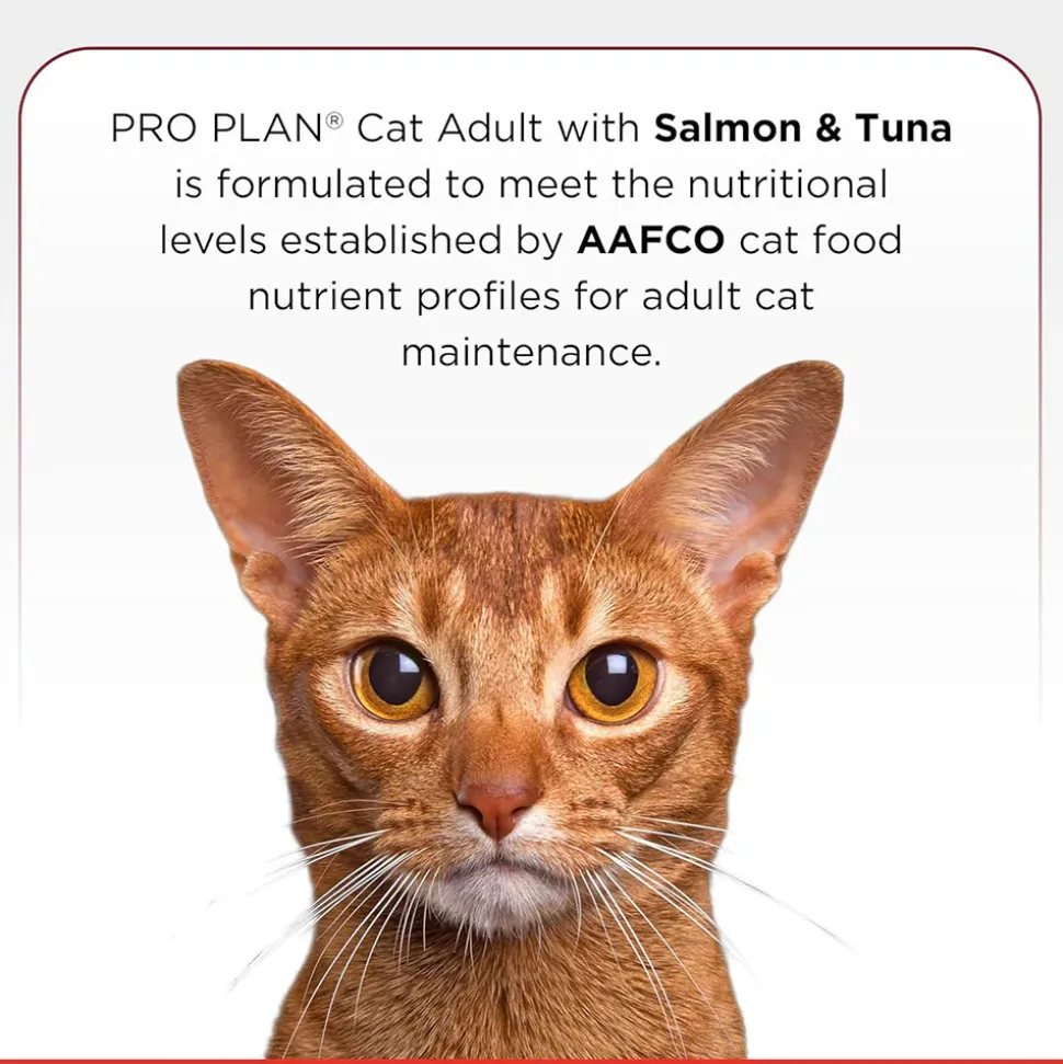 Purina Pro Plan Salmon & Tuna Adult Dry Food For Cat