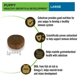 PURINA PRO PLAN Healthy Growth & Development Dry Food For Puppy - Large Breed