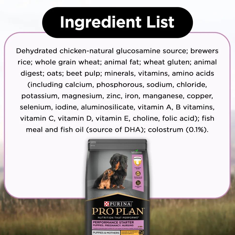 PURINA PRO PLAN Mother & Puppy Performance Starter Kit Dry Food For Dog