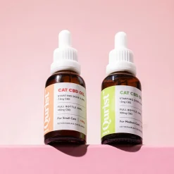 Qurist CBD Oil For Medium Cat (Above 5 kg) - 900 mg - 30 ml
