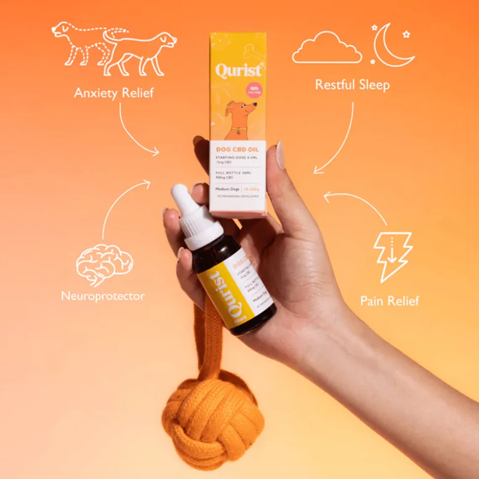 Qurist CBD Oil For Medium Dog (10-25 kg) - 900 mg - 30 ml
