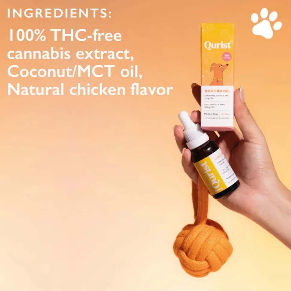 Qurist CBD Oil For Medium Dog (10-25 kg) - 900 mg - 30 ml