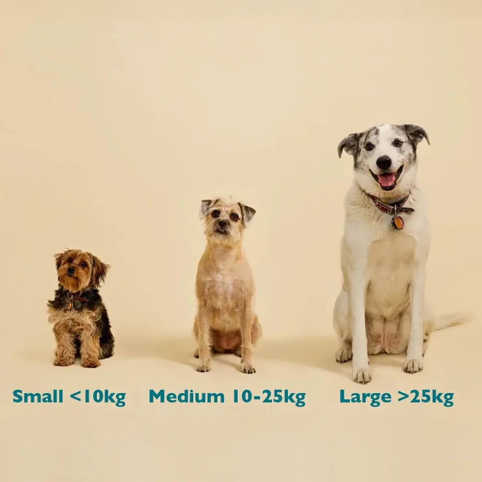 Qurist CBD Oil For Medium Dog (10-25 kg) - 900 mg - 30 ml