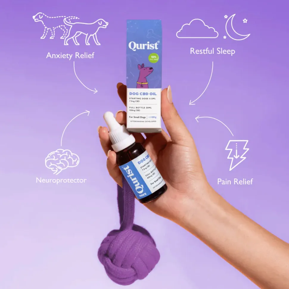 Qurist CBD Oil For Small Dog (Below 10 kg) - 450 mg - 30 ml
