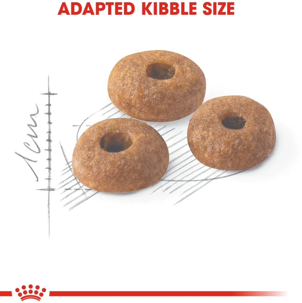 Royal Canin Fit 32 Adult Dry Cat Food