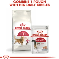 Royal Canin Fit 32 Adult Dry Cat Food