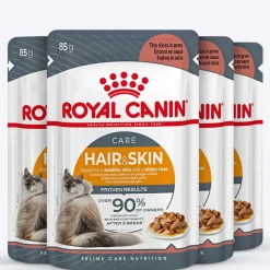 Royal Canin Hair & Skin Care In Gravy Adult Cat Wet Food - 85 g