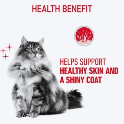 Royal Canin Hair & Skin Care In Gravy Adult Cat Wet Food - 85 g