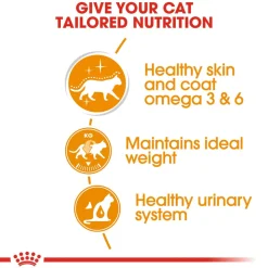 Royal Canin Hair & Skin Care In Gravy Adult Cat Wet Food - 85 g