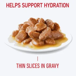 Royal Canin Hair & Skin Care In Gravy Adult Cat Wet Food - 85 g