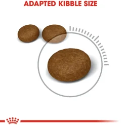 Royal Canin Hair & Skin Care Dry Cat Food