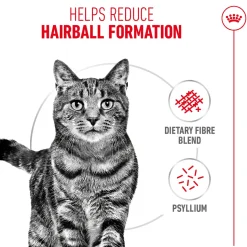 Royal Canin Hairball Care Dry Cat Food