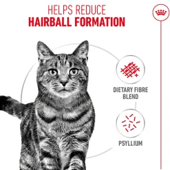 Royal Canin Hairball Care Dry Cat Food