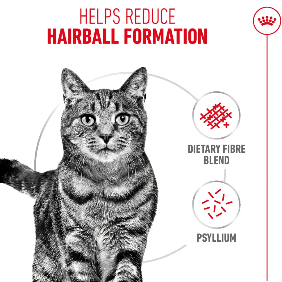 Royal Canin Hairball Care Dry Cat Food