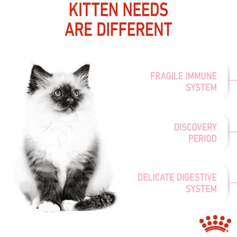 Royal Canin Kitten Dry Cat Food