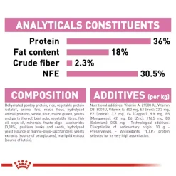 Royal Canin Kitten Dry Cat Food