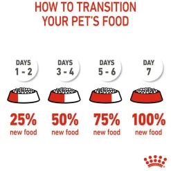 Royal Canin Kitten Dry Cat Food