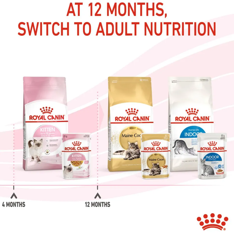 Royal Canin Kitten Jelly Wet Cat Food - 85 g packs