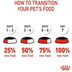 Royal Canin Kitten Jelly Wet Cat Food - 85 g packs
