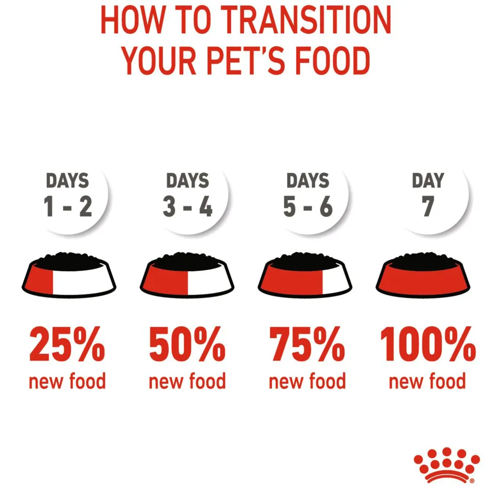 Royal Canin Loaf Wet Kitten Food - 85 g packs