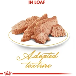 Royal Canin Loaf-Mousse Persian Wet Cat Food - 85 g packs