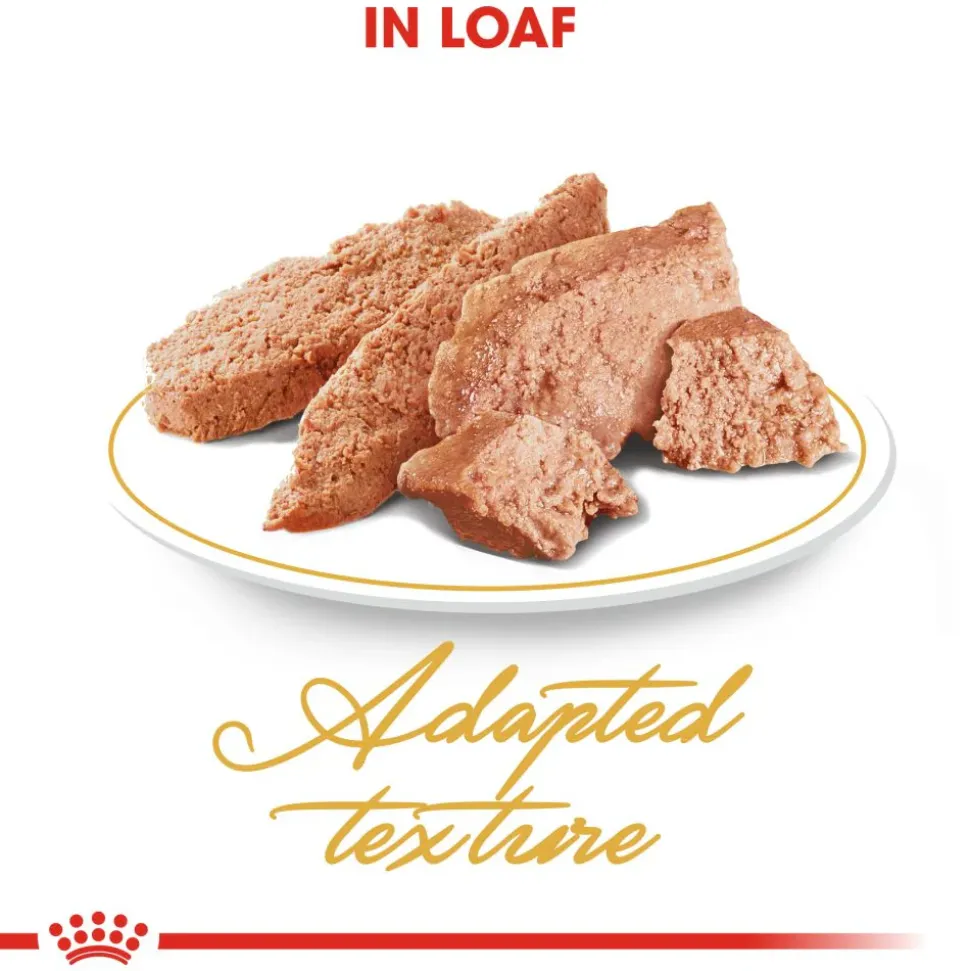 Royal Canin Loaf-Mousse Persian Wet Cat Food - 85 g packs
