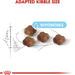 Royal Canin Mother And Babycat Dry Cat Food