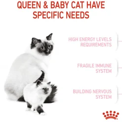 Royal Canin Mother And Babycat Dry Cat Food
