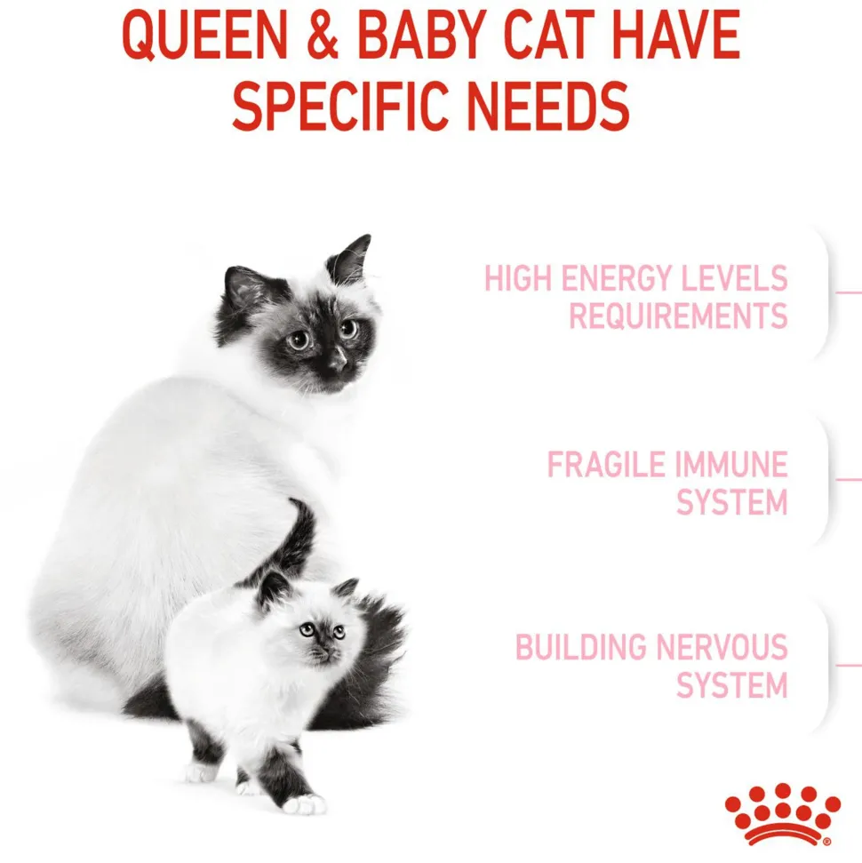 Royal Canin Mother And Babycat Dry Cat Food