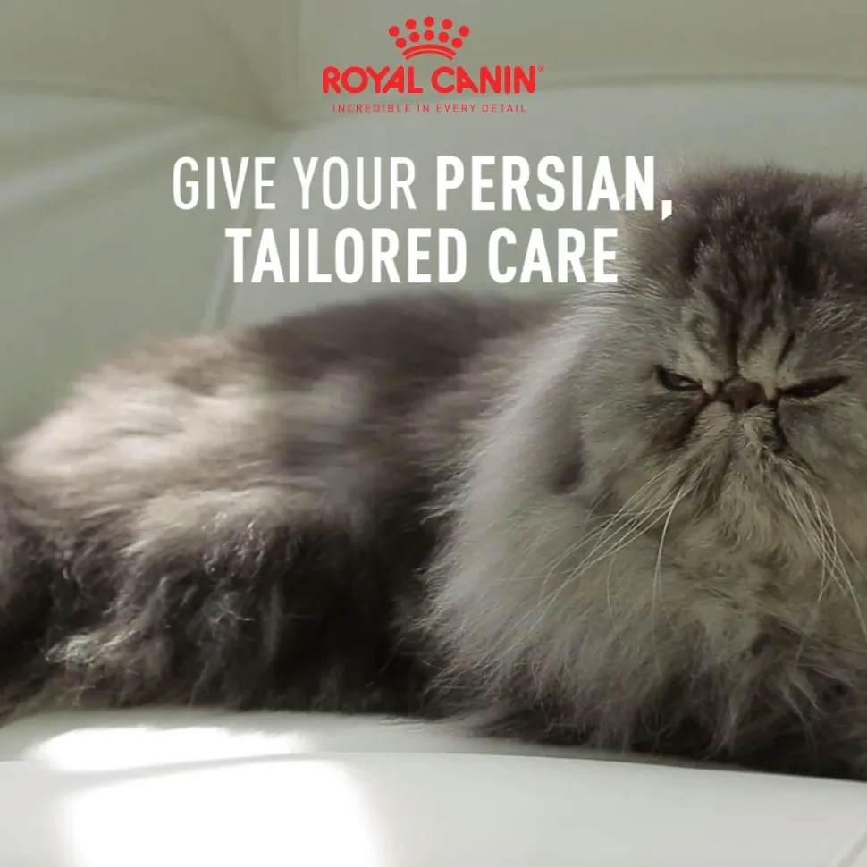 Royal Canin Persian Adult Dry Cat Food