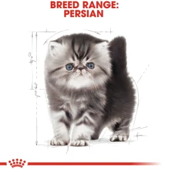 Royal Canin Persian Kitten Dry Cat Food