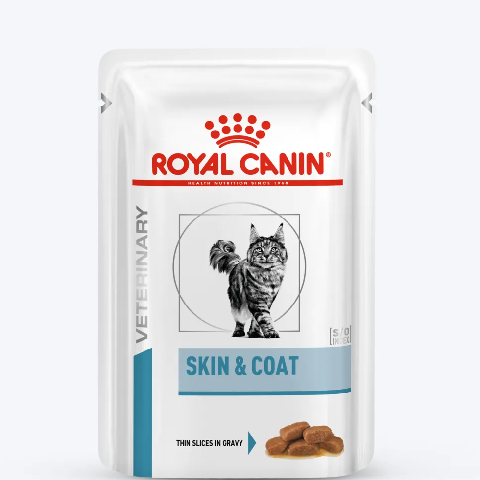 Royal Canin Skin & Coat Wet Food For Cat - 100 gm