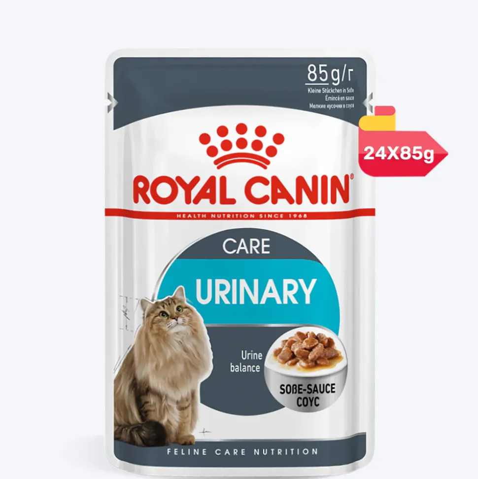 Royal Canin Urinary Care Gravy Wet Cat Food - 85 g packs