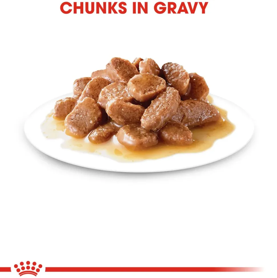 Royal Canin Urinary Care Gravy Wet Cat Food - 85 g packs