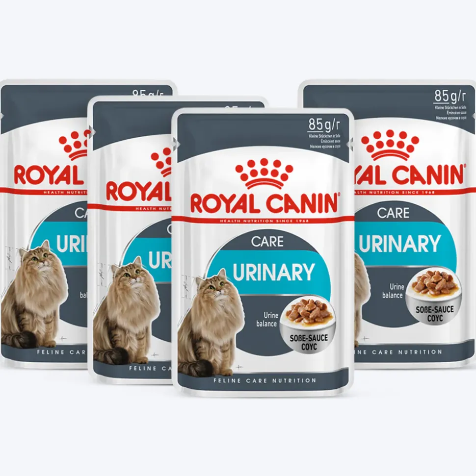 Royal Canin Urinary Care Gravy Wet Cat Food - 85 g packs